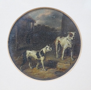 Late 19th / early 20th century, tondo oil, Study of two dogs, purported to be Crib and Rosa, the earliest known Bulldogs, 9cm diameter. Condition - craquelure throughout, inscribed verso